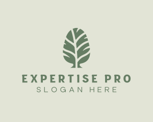 Green Pine Tree logo design