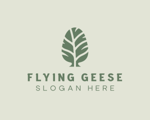 Green Pine Tree logo design