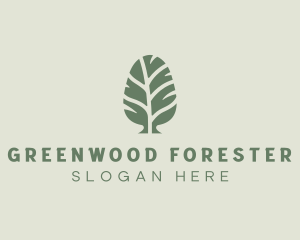 Green Pine Tree logo design