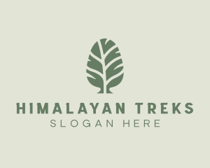 Green Pine Tree logo design