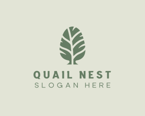 Green Pine Tree logo design