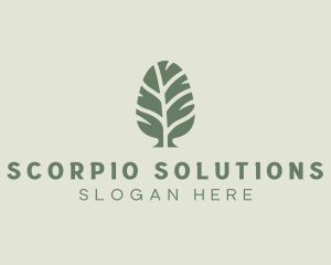 Green Pine Tree logo design