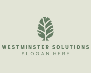 Green Pine Tree logo design