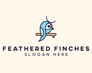 Blue Robin Finch logo design