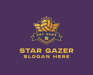 Volleyball Star Tournament logo design