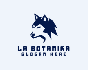 Alpha - Alpha Wild Wolf logo design