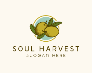 Organic Olive Fruit logo design