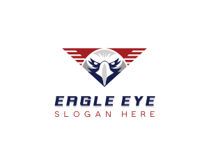 Eagle USA Wings logo design