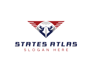 Eagle USA Wings logo design