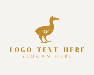 Dodo - Golden Dodo Bird logo design