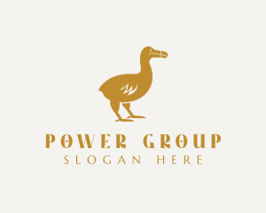 Dodo - Golden Dodo Bird logo design