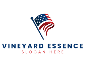 Political American Flag logo design