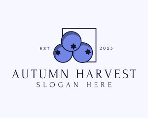 Fresh Blueberry Fruit logo design