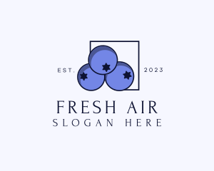 Fresh Blueberry Fruit logo design