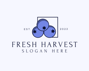 Fresh - Fresh Blueberry Fruit logo design