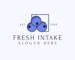 Fresh Blueberry Fruit logo design