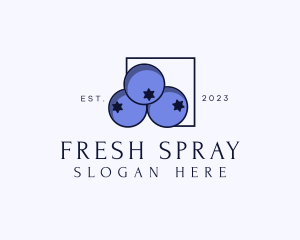 Fresh Blueberry Fruit logo design