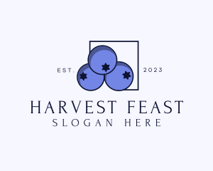 Fresh Blueberry Fruit logo design