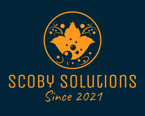 Scoby - Organic Kombucha Drink logo design