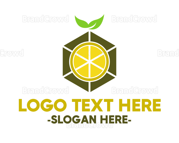 Hexagon Lemon Slice Logo