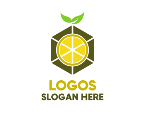 Hexagon Lemon Slice Logo