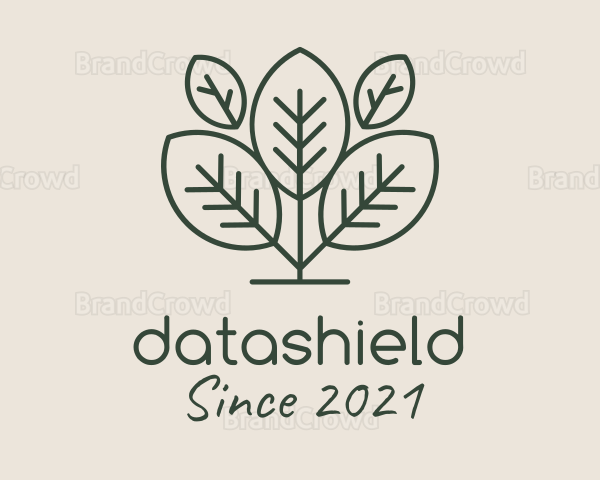 Organic Herbal Tea Logo