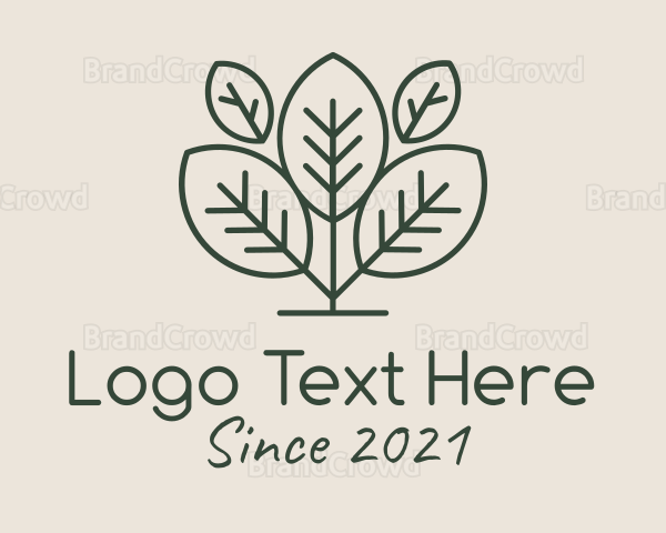 Organic Herbal Tea Logo