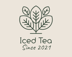 Organic Herbal Tea logo design