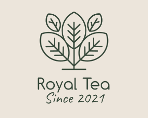 Organic Herbal Tea logo design