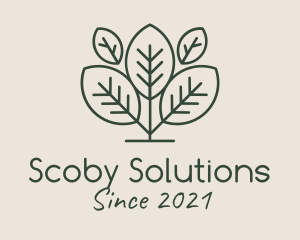 Scoby - Organic Herbal Tea logo design