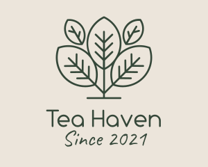 Organic Herbal Tea logo design