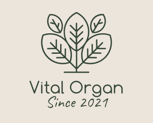 Organic Herbal Tea logo design