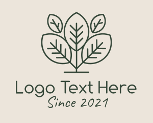 Kombucha - Organic Herbal Tea logo design