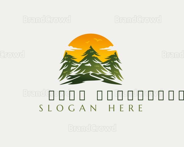 Pine Tree Lumber Logo