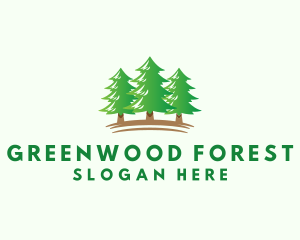 Pine Tree Forest logo design