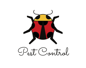 Geometric Lady Bug logo design