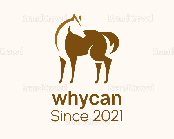 Brown Horse Stallion Logo