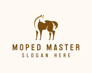 Brown Horse Stallion logo design