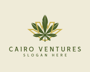 Cannabis Leaf Plant logo design