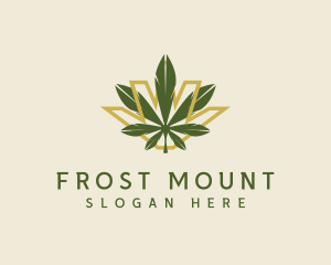 Cannabis Leaf Plant logo design