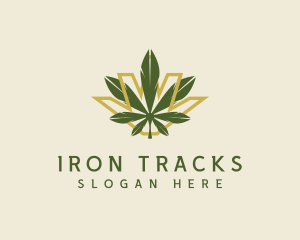 Cannabis Leaf Plant logo design