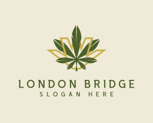 Cannabis Leaf Plant logo design