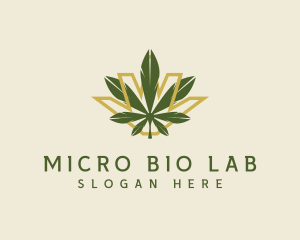 Cannabis Leaf Plant logo design