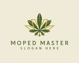 Cannabis Leaf Plant logo design