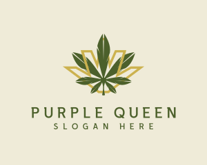 Cannabis Leaf Plant logo design