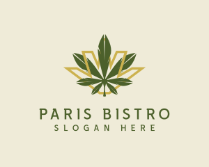 Cannabis Leaf Plant logo design