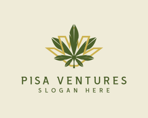 Cannabis Leaf Plant logo design