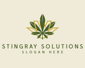 Cannabis Leaf Plant logo design