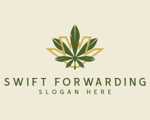 Cannabis Leaf Plant logo design