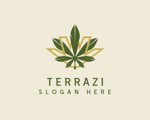 Cannabis Leaf Plant logo design